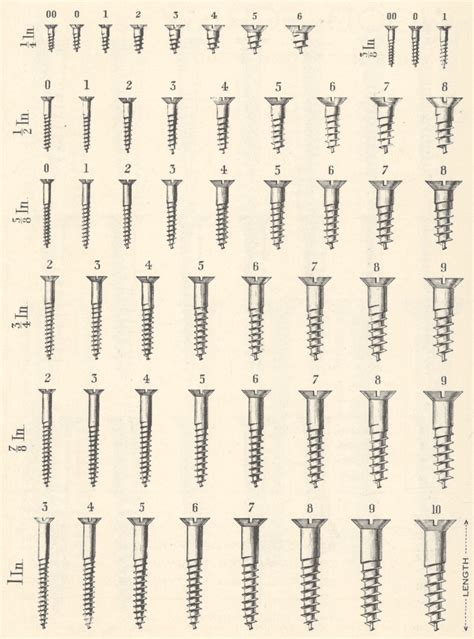 how to measure screw thickness|screw size chart printable.